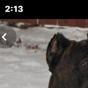 Meet your Posher, Jose